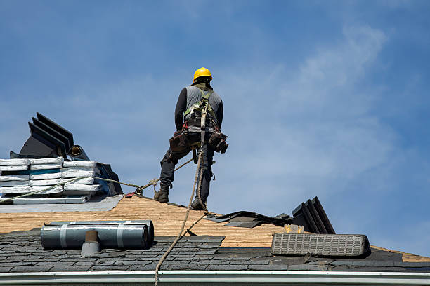 Professional Gutter Installation technician working in Garden City, MI